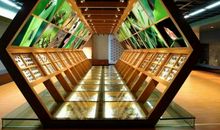 奇妙的昆明动物博物馆