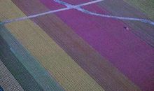 四年级作文田园风光