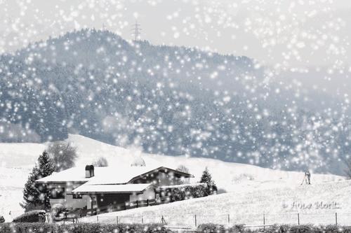“雪”的叙述