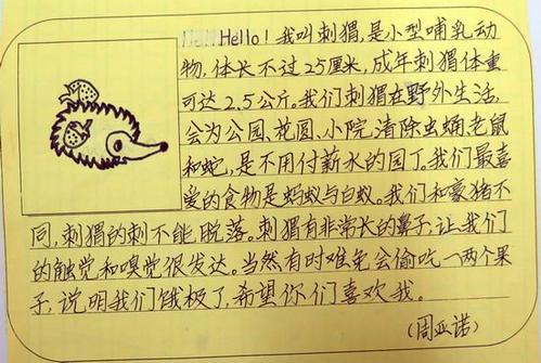 我的动物朋友作文300字