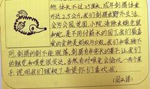 我的动物朋友作文300字