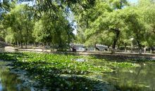 我爱家乡的杏林湖公园