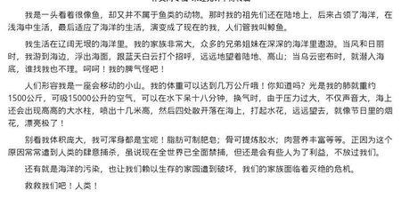蓝鲸的故事