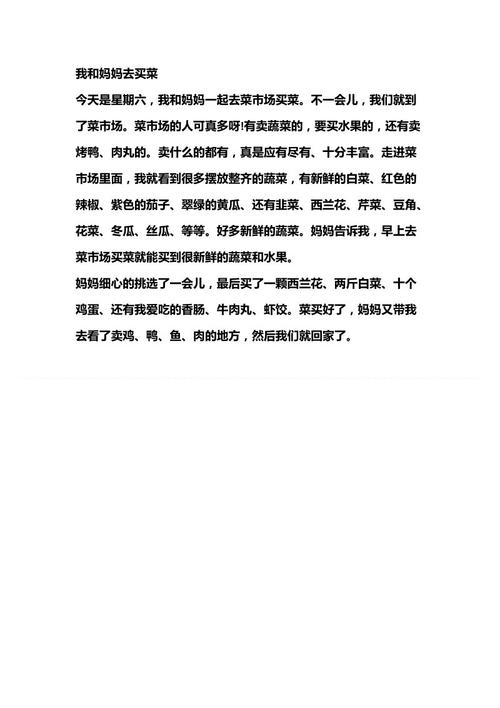 杂货店购物400字