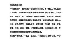 买菜作文400字