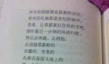 《最后一分钟》读后感（6）_700字