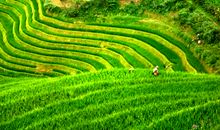 游龙脊梯田