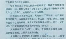 三年级国宝大熊猫作文300字