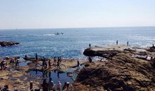 永不褪色的友谊