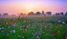 一路芬芳一路歌