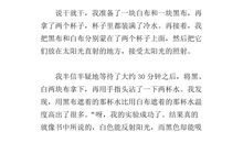 一件囧事的作文350字