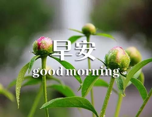 早晨的幸福