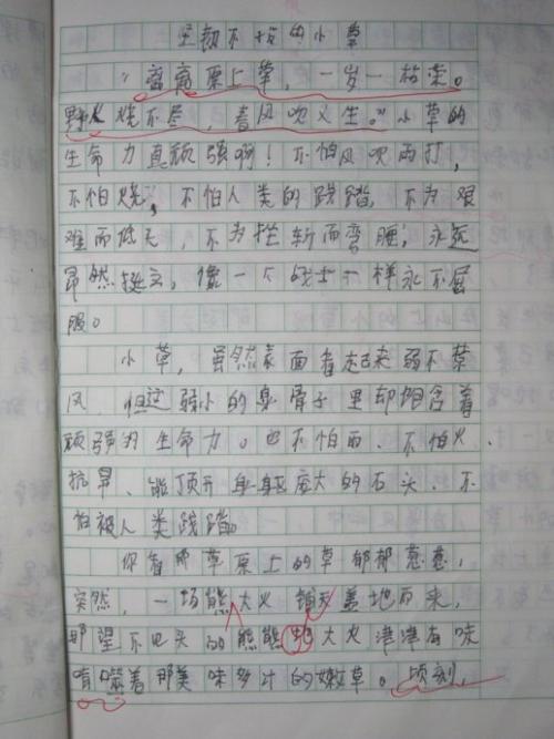 关于墙的组成