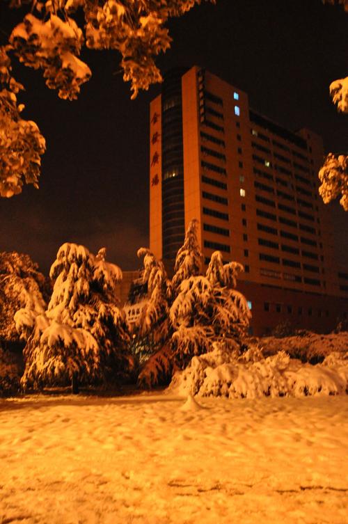 那天下雪