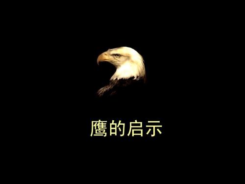 鹰的启示