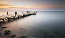 风可以穿越荆棘