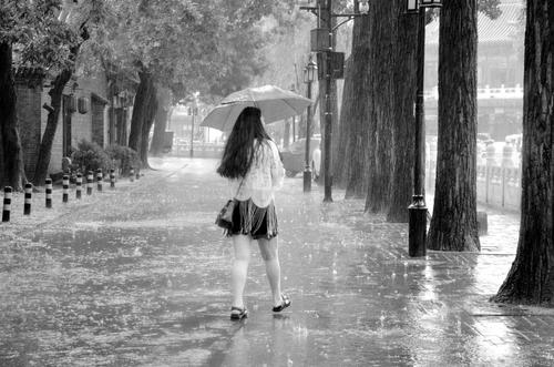 在雨中思考
