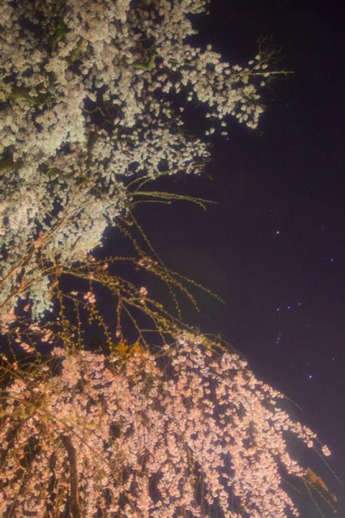 春天的夜晚