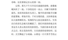 心中有盏红绿灯作文800字