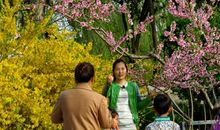 我和春天的约会