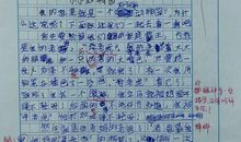 小小动物园作文四年级