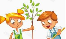 关于植树的看图写话