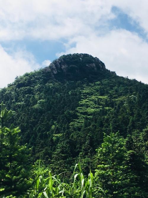 勇于攀登高峰，永不忘记初衷