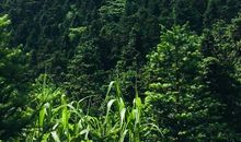 勇攀高峰，不忘初心