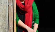 这次我读懂了温馨