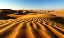 难忘的一次经历