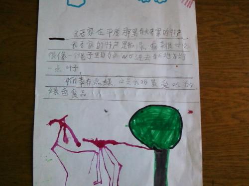 故乡环境调查报告书