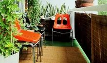 我家阳台上的春天