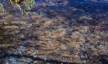 一个值得回味的人