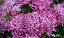 有你,真的很幸福