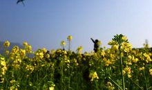 那一段美好的好时光