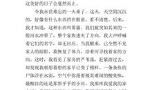 眼睛的自述作文400字