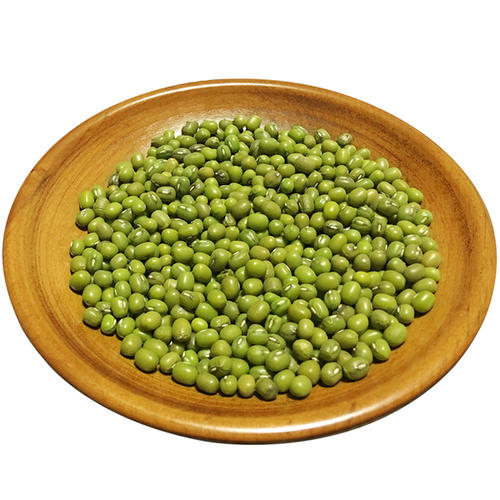 绿豆历险记