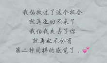 请给我关心你的机会