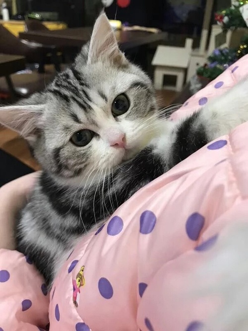 我们一起玩吧