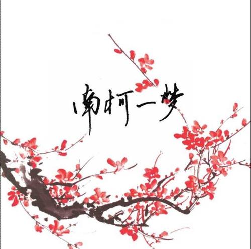 南可梦