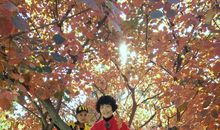 感受秋雨的美好