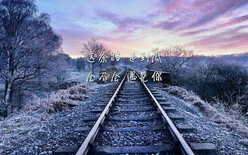 如果我从没见过你