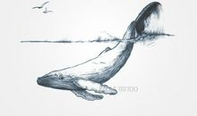 海浪里的小身影