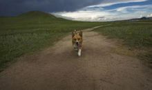 那一瞬间已成永恒