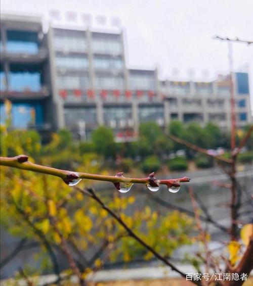 第一次冬天下雨
