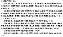 琦君散文读后感