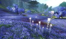 一路上风雨相伴