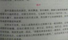 难忘的眼神600字作文