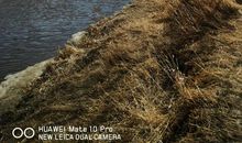 远足活动后有感