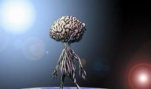 “鸡兔同笼”的秘密